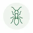 Household Ants pest illustration