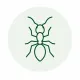 Ant control