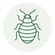 Bed Bugs pest illustration