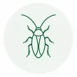 Cockroaches pest illustration