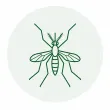 Mosquitoes pest illustration