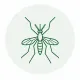 Mosquito control