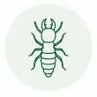 Termites pest illustration